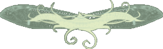 butterfly image